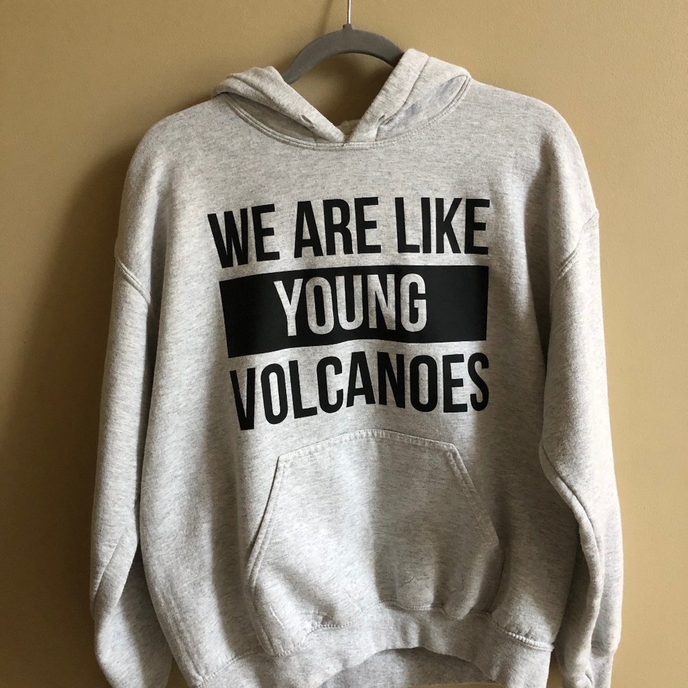 Gray Fall Out Boy Sweatshirt
